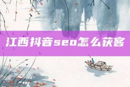 江西抖音seo怎么获客