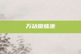 万站蜘蛛池