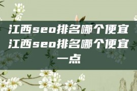 江西seo排名哪个便宜江西seo排名哪个便宜一点