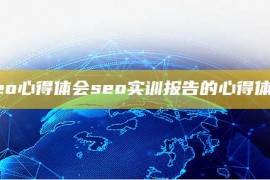 seo心得体会seo实训报告的心得体会