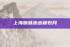 上海蜘蛛池出租包月