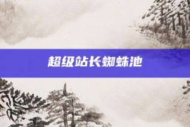 超级站长蜘蛛池