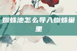 蜘蛛池怎么导入蜘蛛巢里