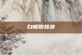 白帽蜘蛛池