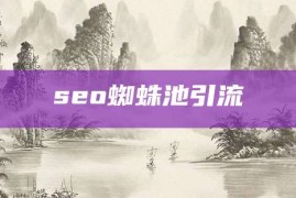 seo蜘蛛池引流