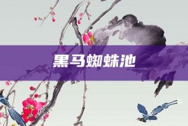 黑马蜘蛛池