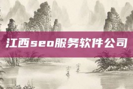 江西seo服务软件公司