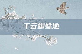 千云蜘蛛池