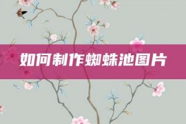 如何制作蜘蛛池图片