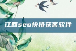 江西seo快排获客软件