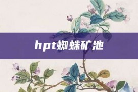 hpt蜘蛛矿池