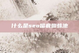 什么是seo留痕蜘蛛池