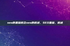 seo的基础概念seo的概述，SEO基础，概述