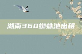 湖南360蜘蛛池出租