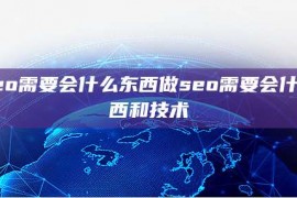 做seo需要会什么东西做seo需要会什么东西和技术