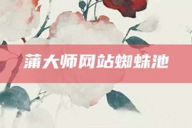 蒲大师网站蜘蛛池