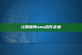 江西矩阵seo合作企业