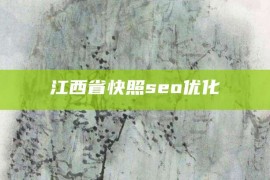 江西省快照seo优化