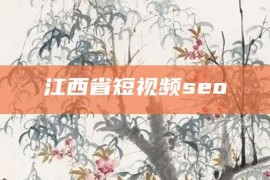 江西省短视频seo