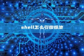 shell怎么引蜘蛛池