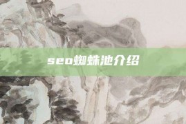 seo蜘蛛池介绍