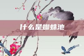 什么是蜘蛛池