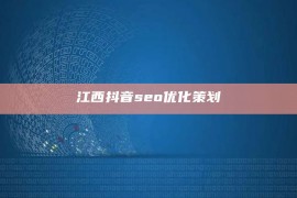 江西抖音seo优化策划