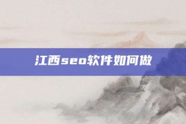 江西seo软件如何做