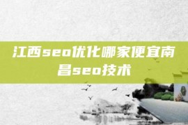 江西seo优化哪家便宜南昌seo技术