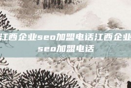 江西企业seo加盟电话江西企业seo加盟电话