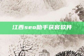 江西seo助手获客软件