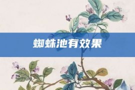 蜘蛛池有效果