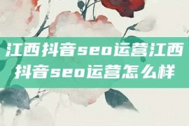 江西抖音seo运营江西抖音seo运营怎么样