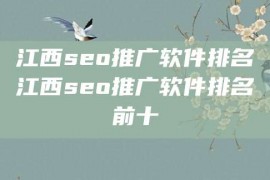 江西seo推广软件排名江西seo推广软件排名前十