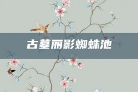 古墓丽影蜘蛛池