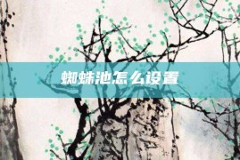 蜘蛛池怎么设置