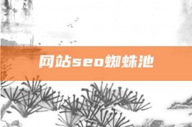 网站seo蜘蛛池