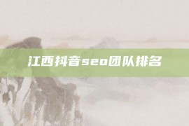 江西抖音seo团队排名