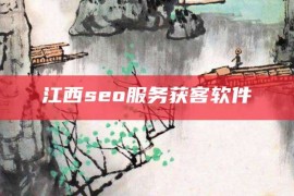 江西seo服务获客软件