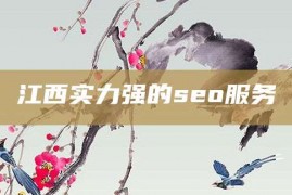 江西实力强的seo服务