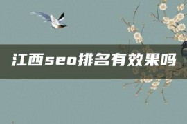 江西seo排名有效果吗