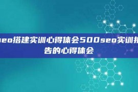 seo搭建实训心得体会500seo实训报告的心得体会