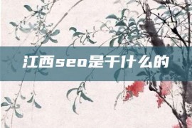 江西seo是干什么的