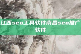 江西seo工具软件南昌seo推广软件