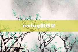 emlog蜘蛛池