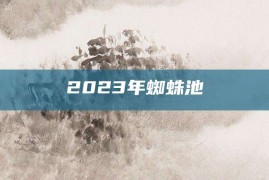 2023年蜘蛛池