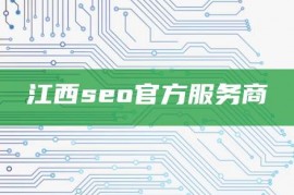 江西seo官方服务商