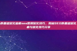 seo的基础优化留痕seo常用优化技巧，揭秘SEO的基础优化，留痕与优化技巧分享