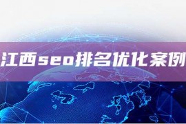 江西seo排名优化案例