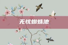 无忧蜘蛛池